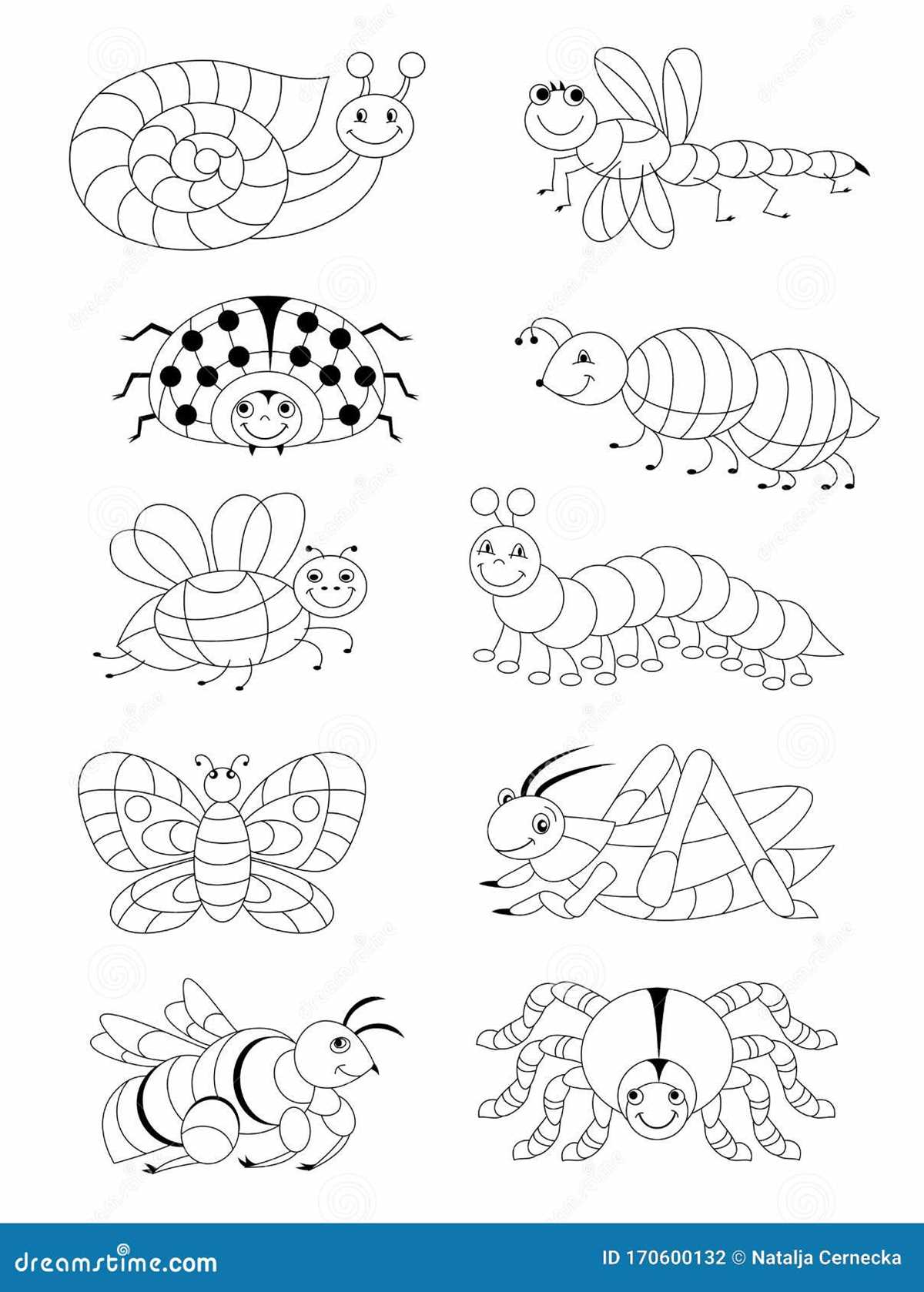 insect template printable insect template printable