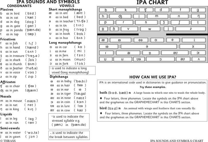 ipa flashcards printable ipa flashcards printable