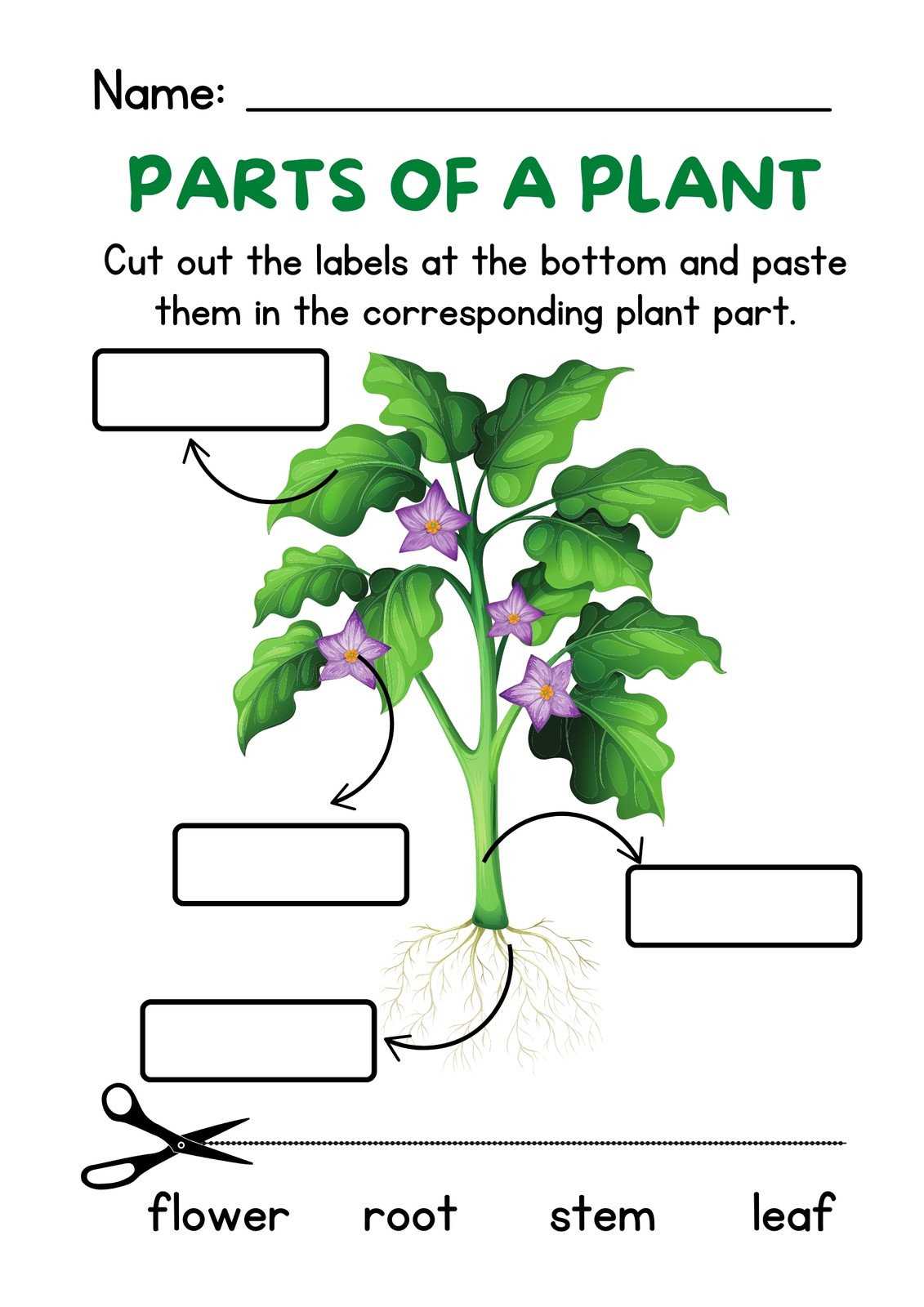 printable stem and leaf template printable stem and leaf template