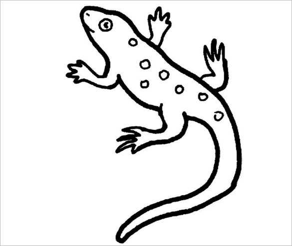 lizard printable coloring pages lizard printable coloring pages