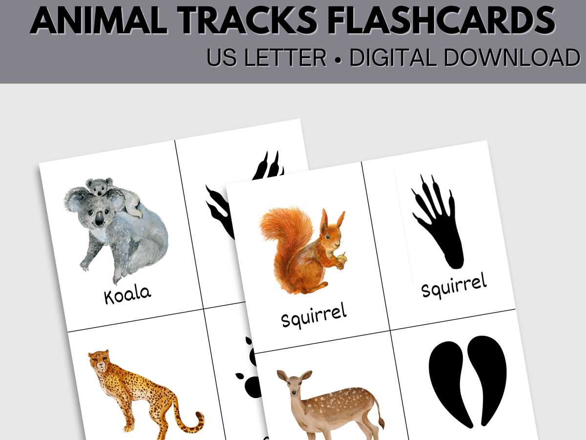 animal tracks printable animal tracks printable