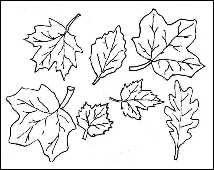 leaf stencil printable