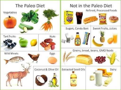 printable list of paleo foods
