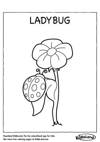 ladybug coloring pages printable