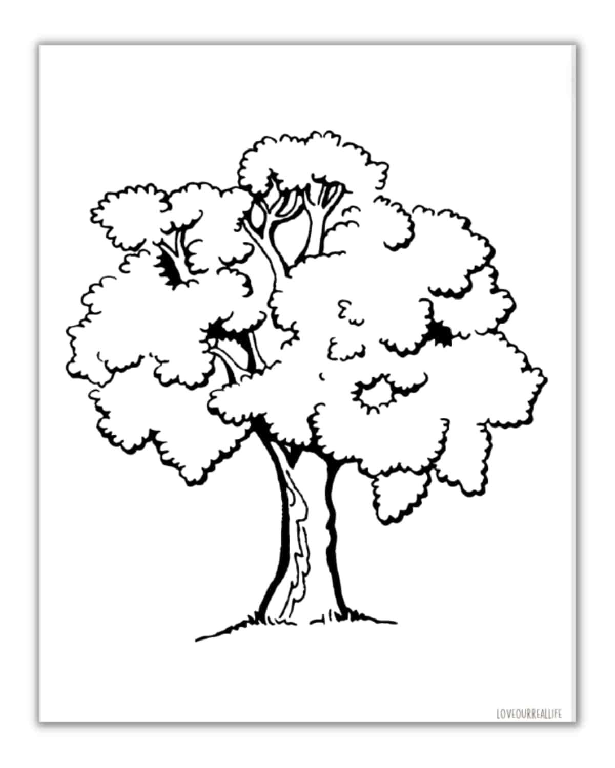 large printable tree template free large printable tree template free