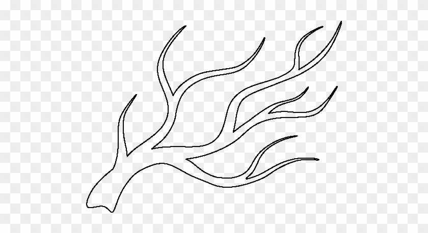tree branch printable
