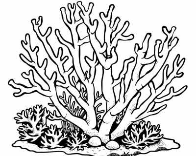 printable easy ocean coloring pages
