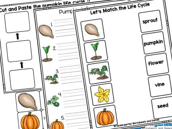free pumpkin life cycle printable free pumpkin life cycle printable