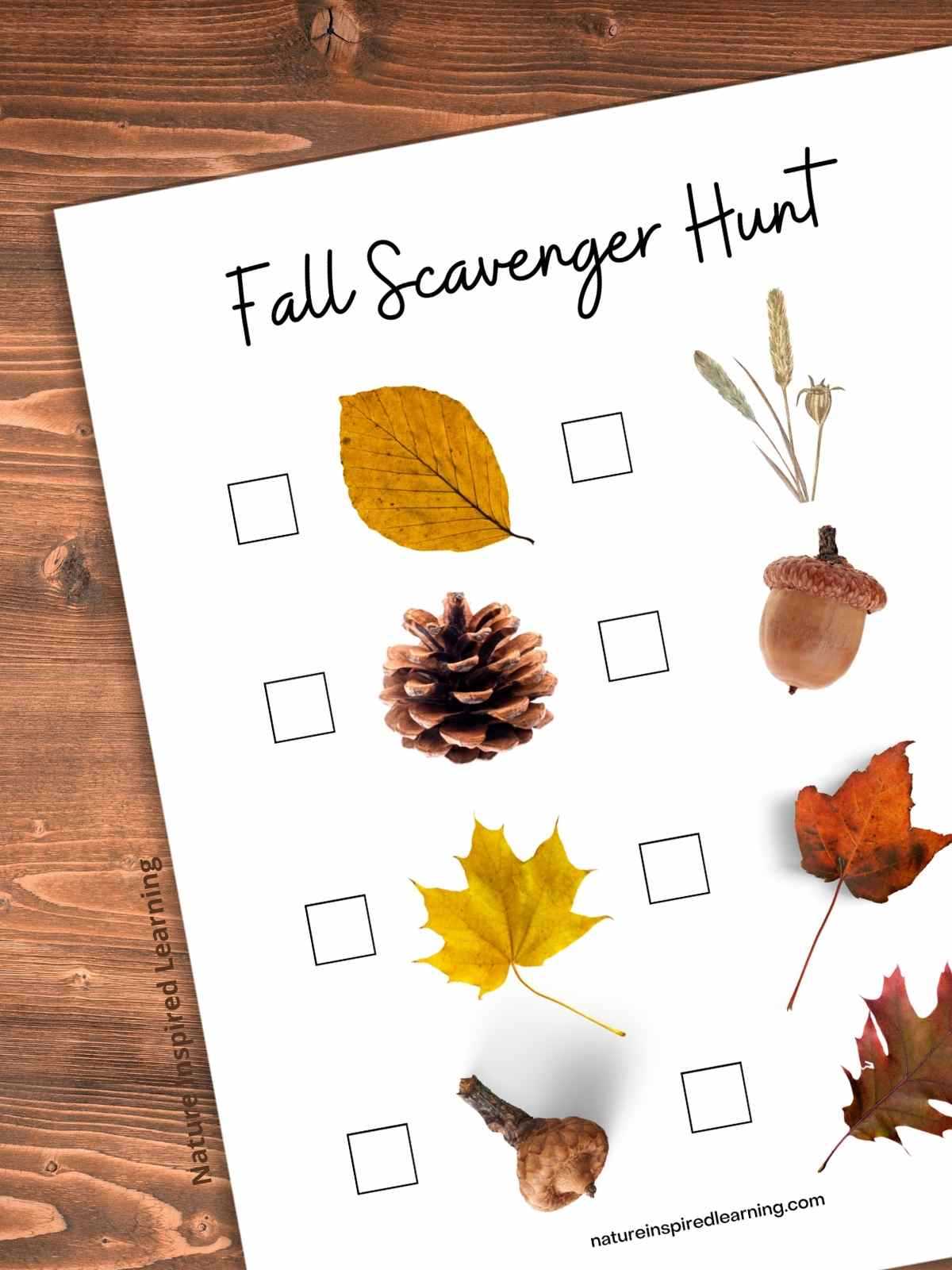 leaf scavenger hunt printable