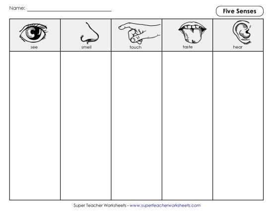 5 senses printable 5 senses printable