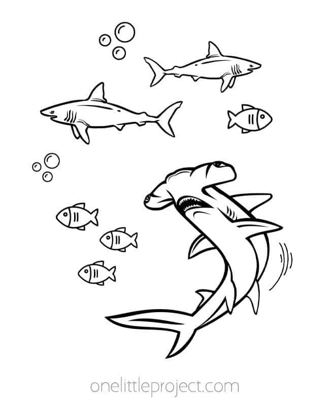 printable picture of a shark printable picture of a shark