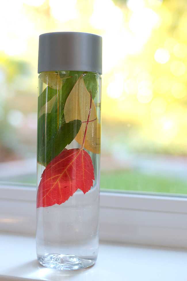 printable science activities for preschoolers printable science activities for preschoolers