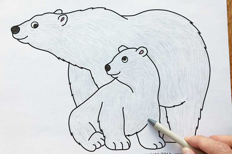 polar bear pictures printable