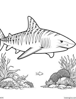shark color pages printable