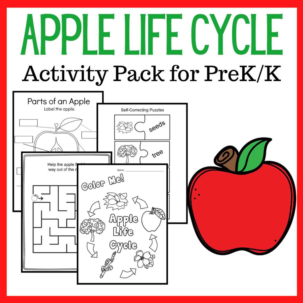 apple life cycle printable apple life cycle printable