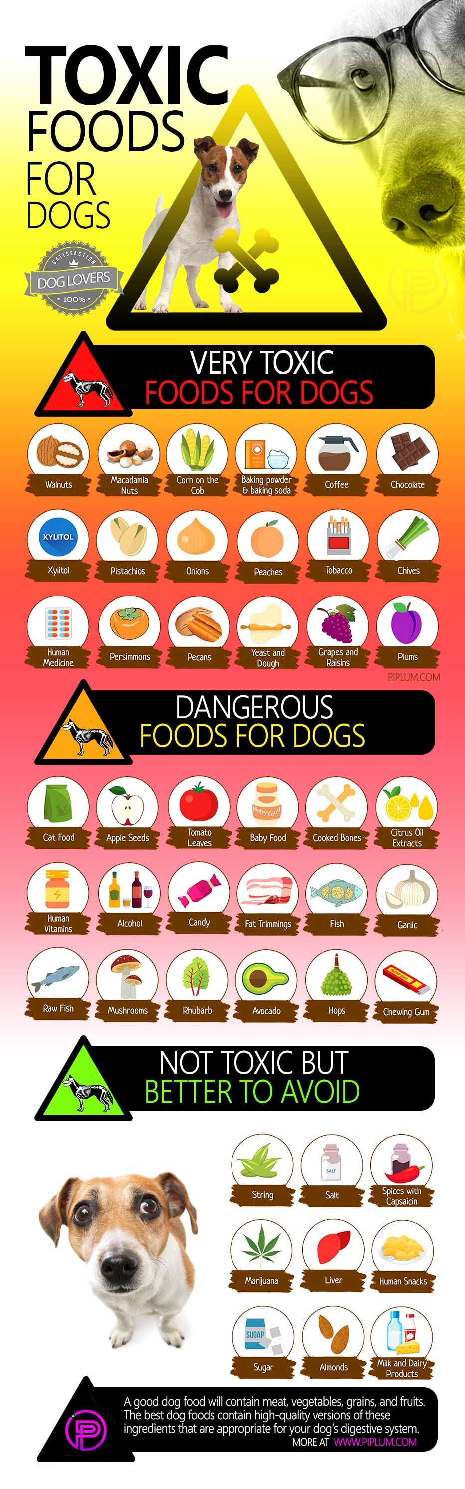 printable list of toxic foods for dogs printable list of toxic foods for dogs