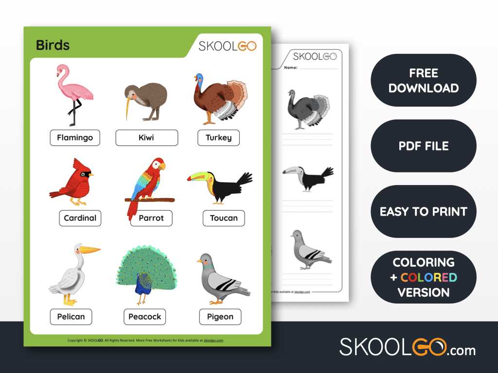 birds pictures printable birds pictures printable