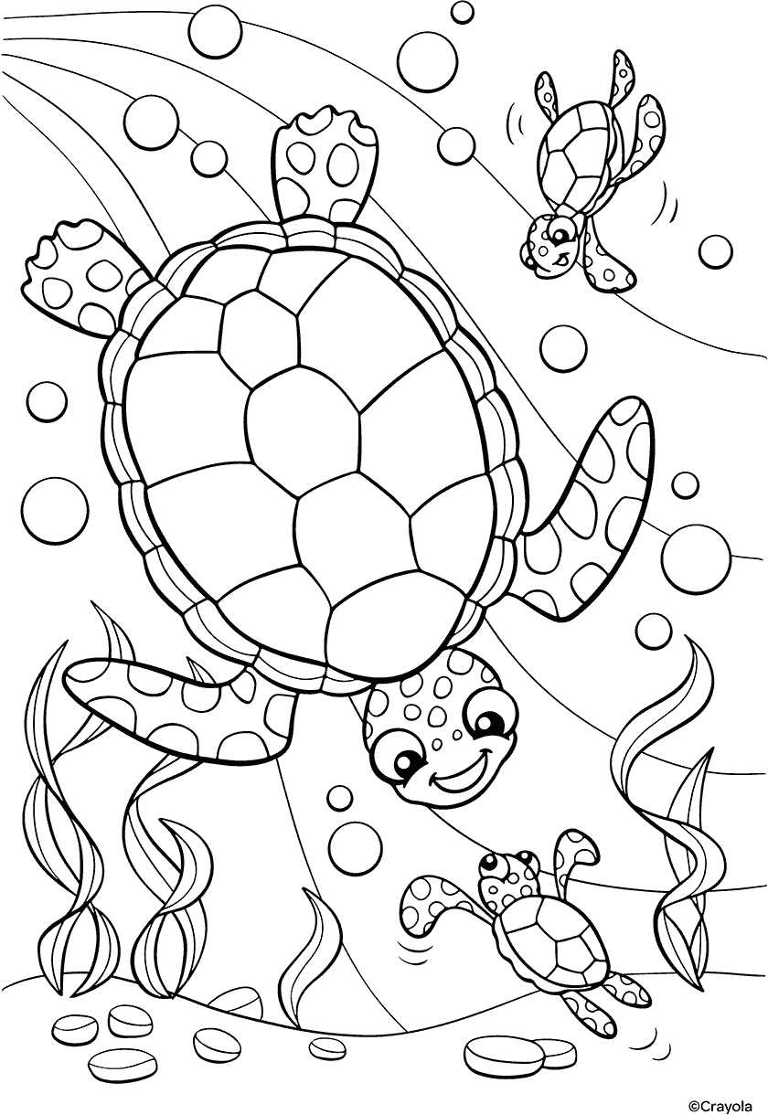 zoo coloring book printable