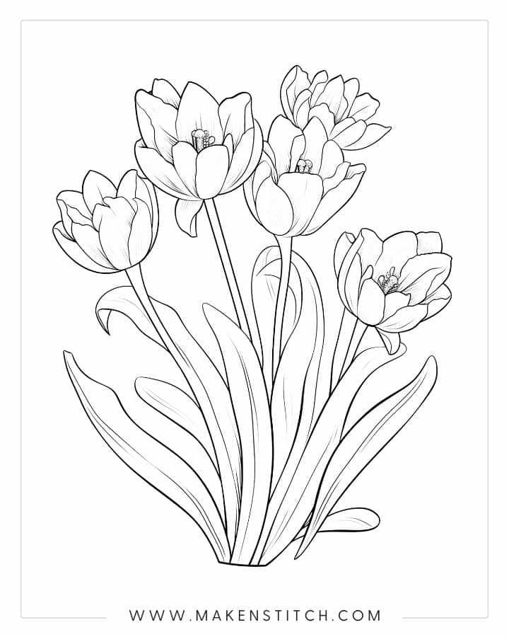 printable tulip coloring pages printable tulip coloring pages