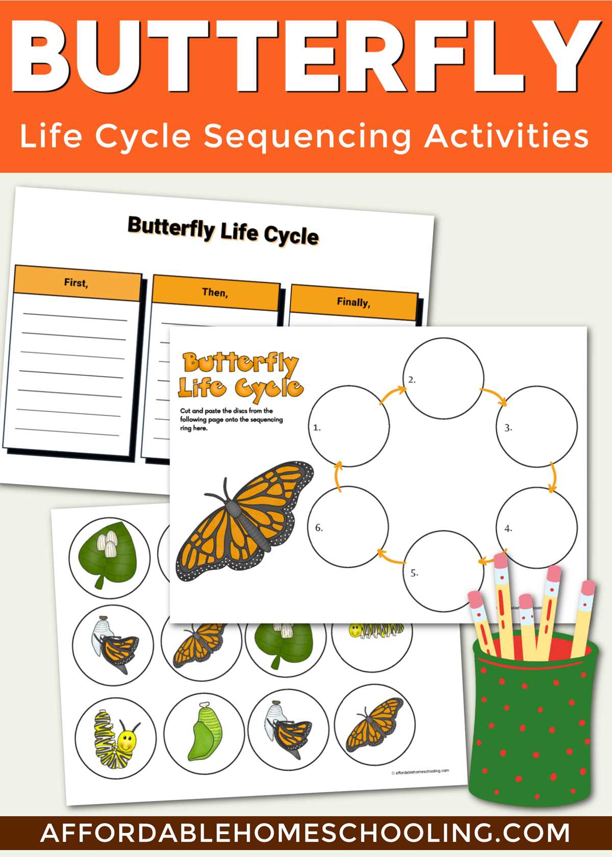printable butterfly cycle worksheet
