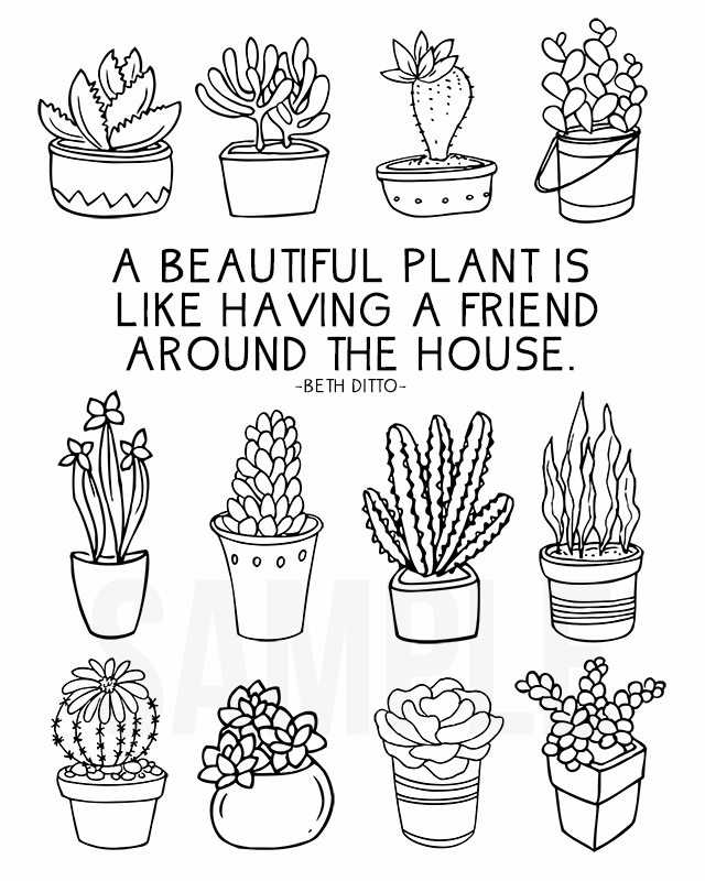 plant printable coloring pages plant printable coloring pages