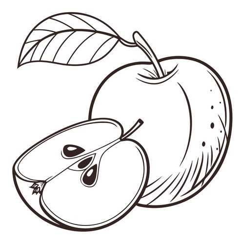 printable apple outline printable apple outline