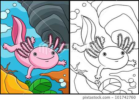 printable axolotl coloring pages