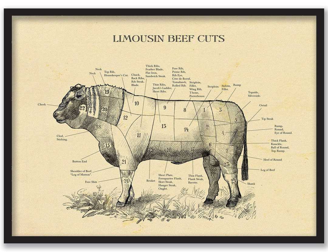 printable beef cut chart printable beef cut chart