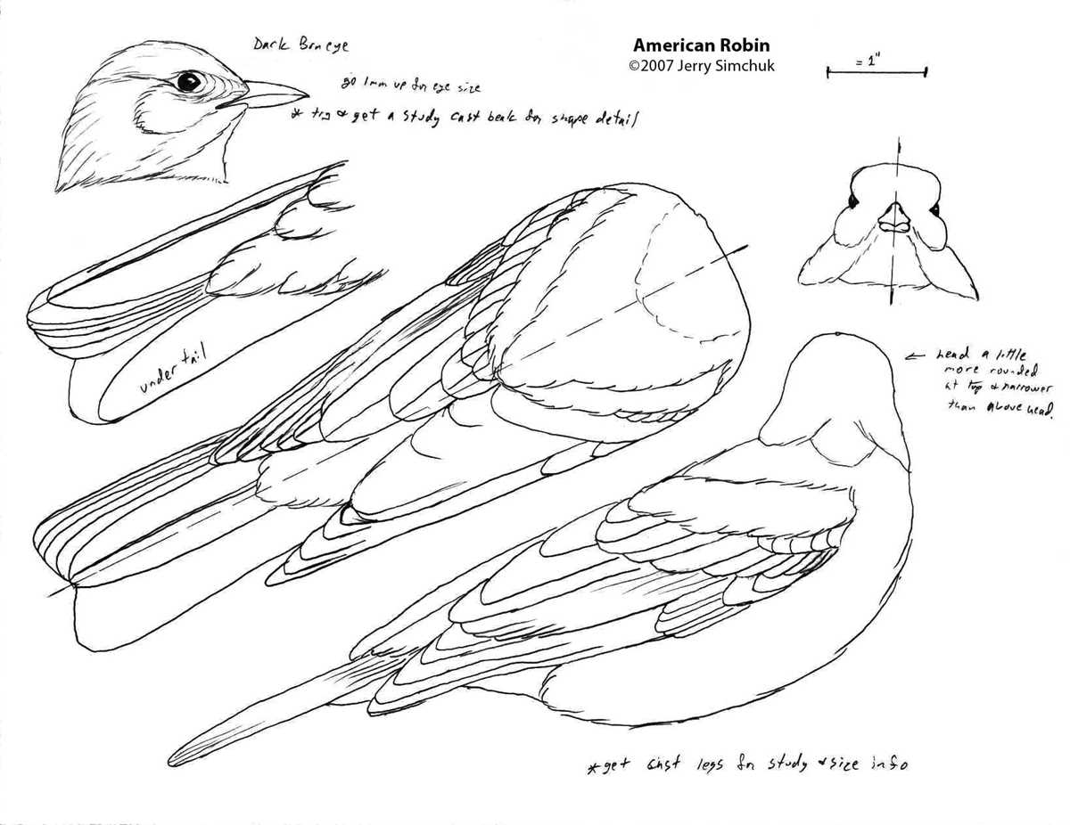 printable bird carving patterns printable bird carving patterns