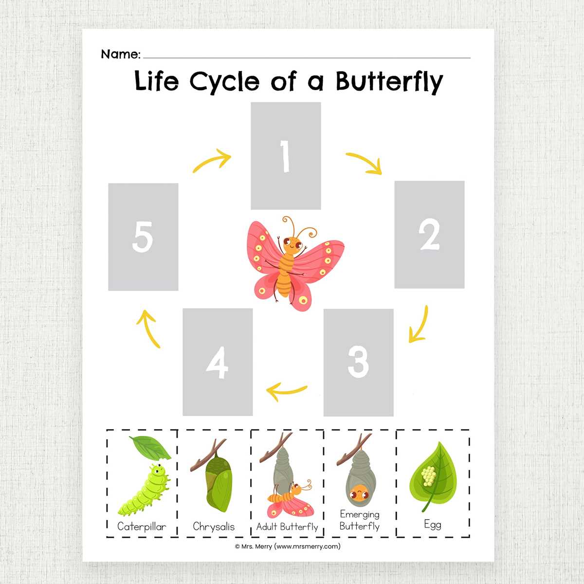 printable butterfly life cycle printable butterfly life cycle