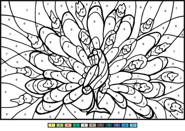 printable color by number free
