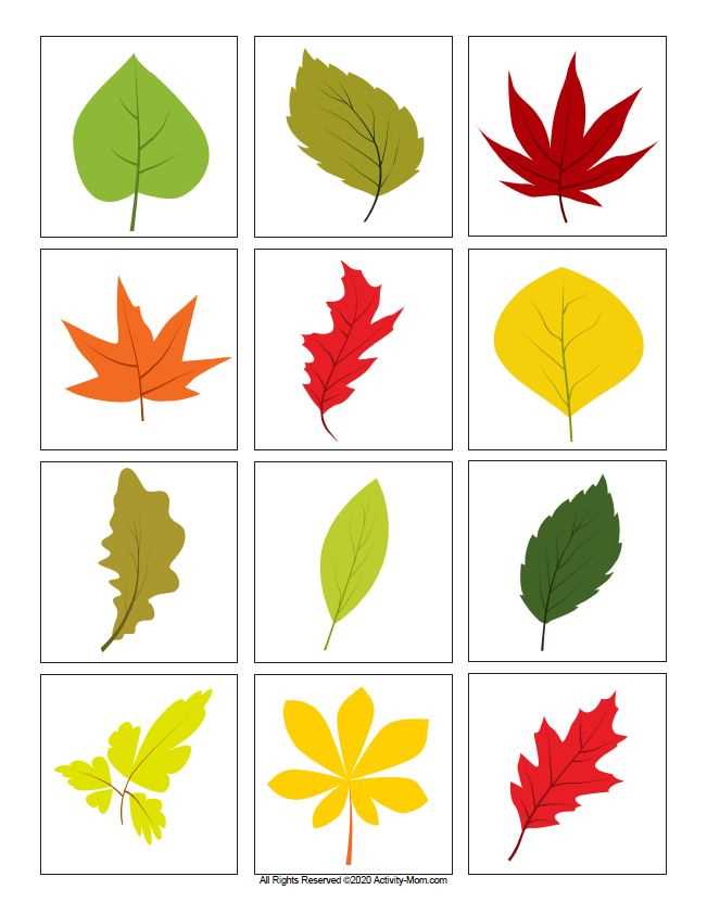 printable colorful leaves
