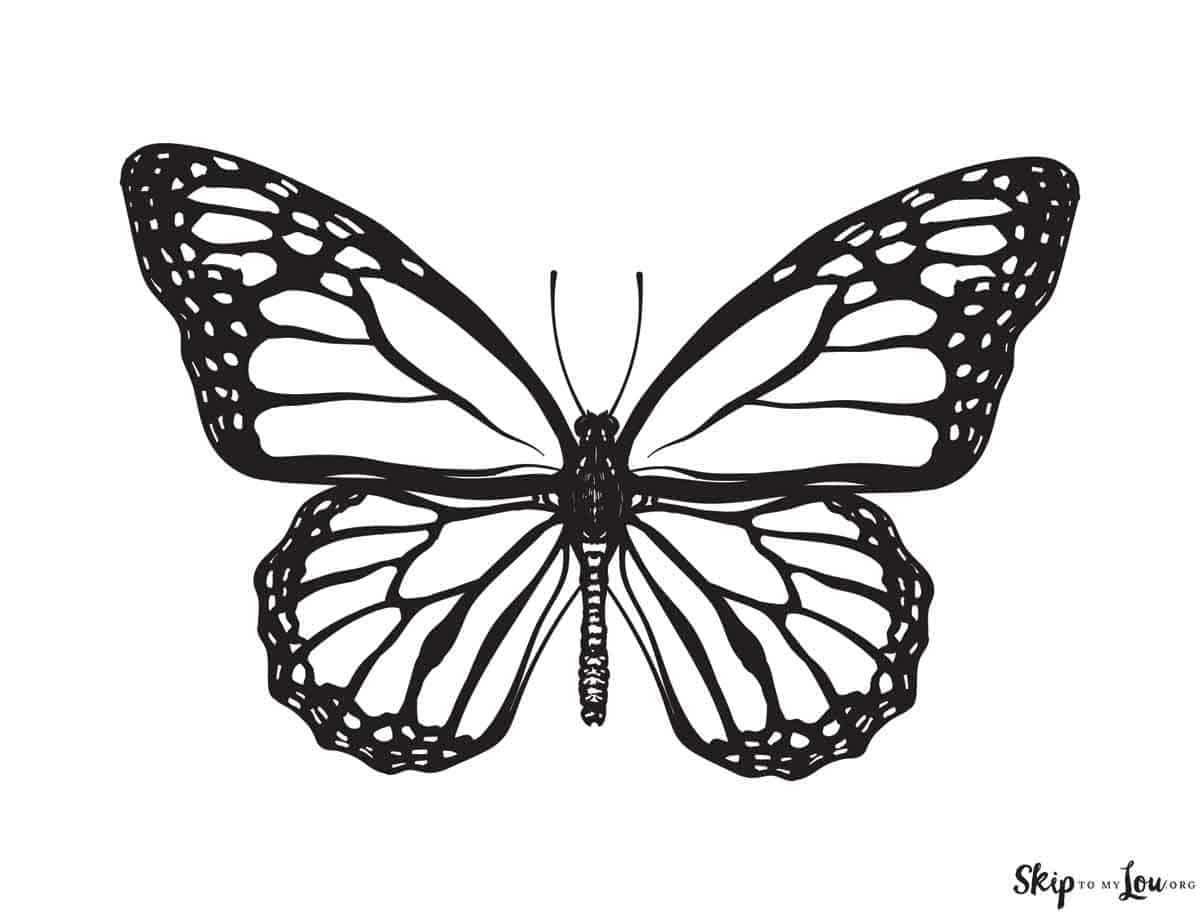 printable coloring pages butterfly