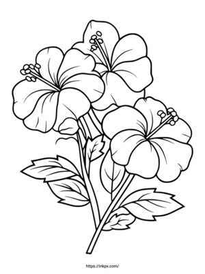 printable coloring sheets of flowers
