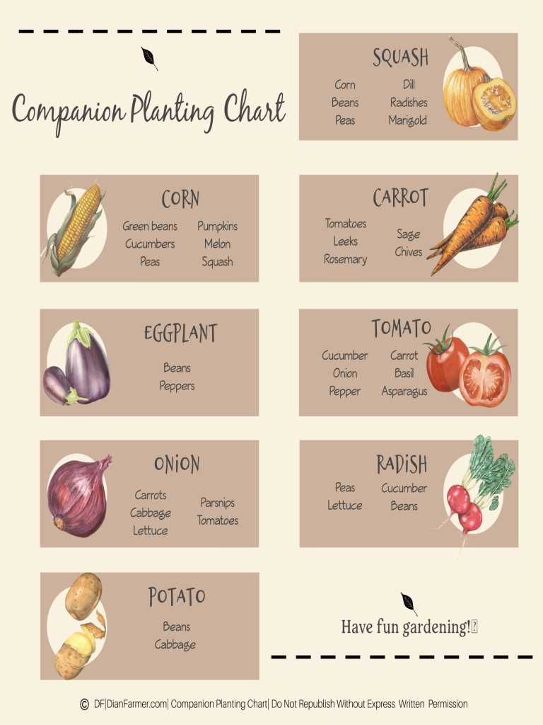 printable companion planting chart