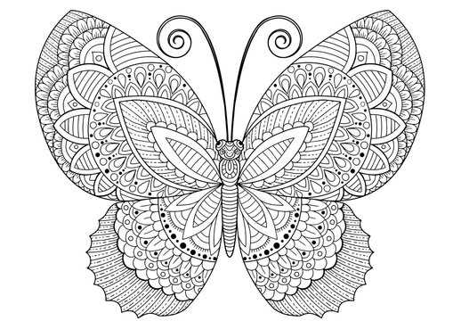 printable cute butterfly coloring pages printable cute butterfly coloring pages
