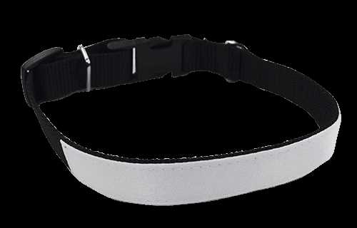 printable dog collar