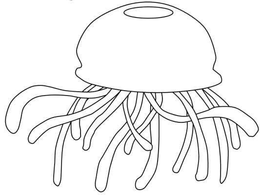 printable jellyfish coloring pages
