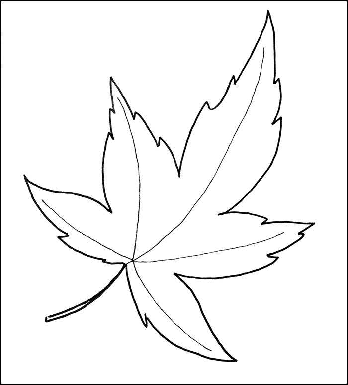 printable leaf templates free printable leaf templates free
