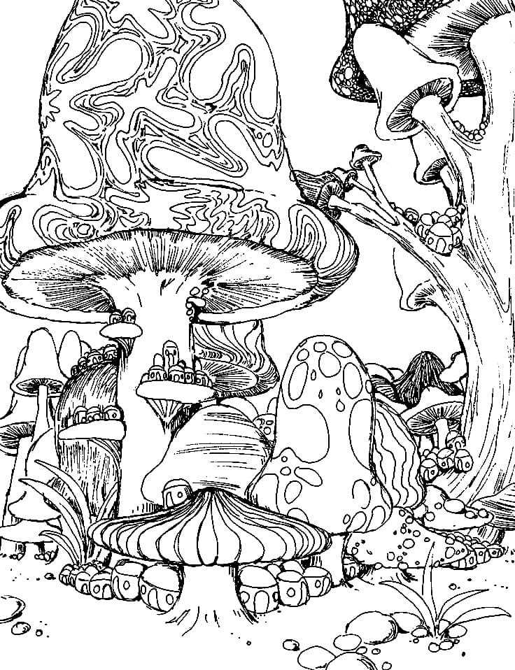 printable mushroom coloring pages printable mushroom coloring pages