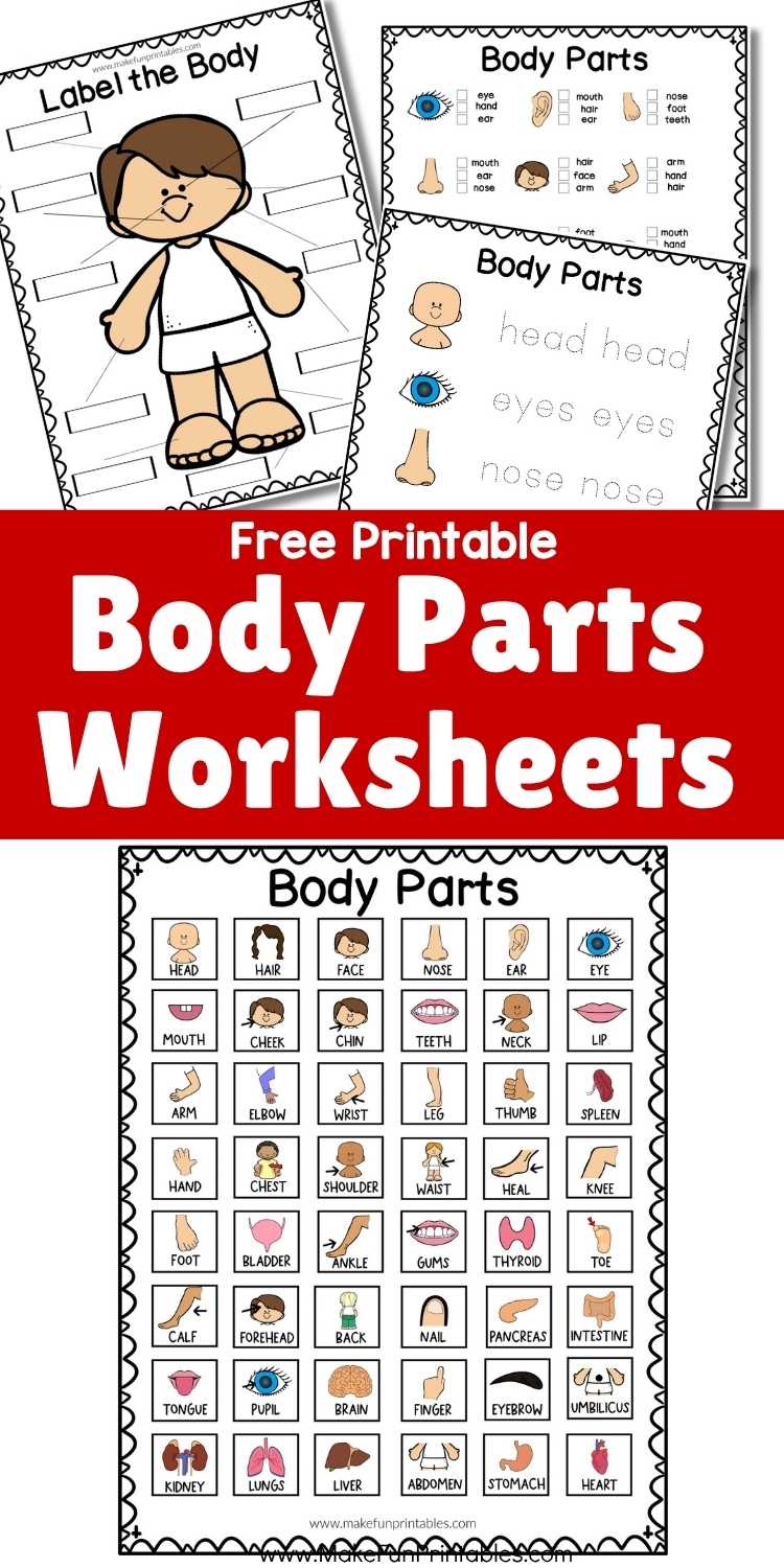 printable parts of the body printable parts of the body