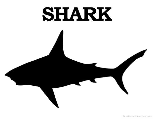 printable picture of a shark printable picture of a shark