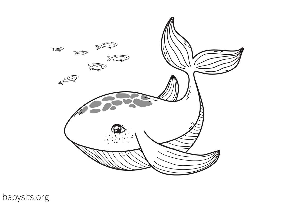 printable sea animals coloring pages printable sea animals coloring pages