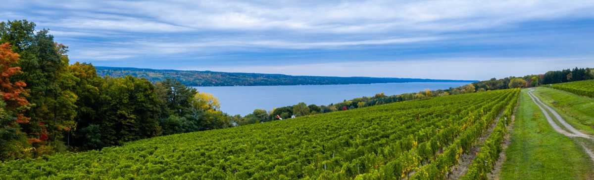 printable seneca lake wineries and breweries map printable seneca lake wineries and breweries map