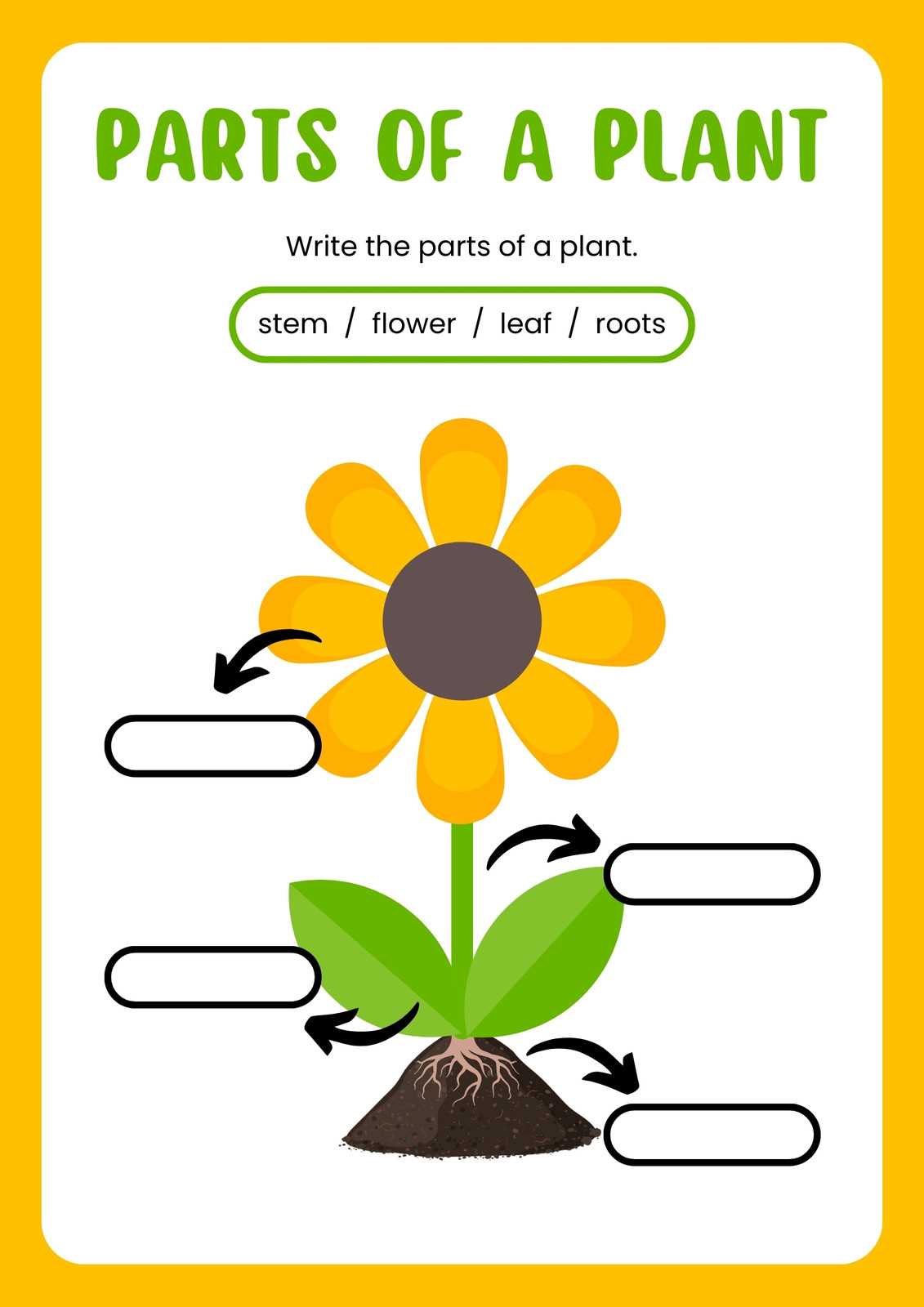 printable stem and leaf template printable stem and leaf template