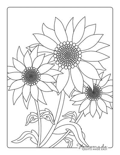 printable sunflower pictures printable sunflower pictures