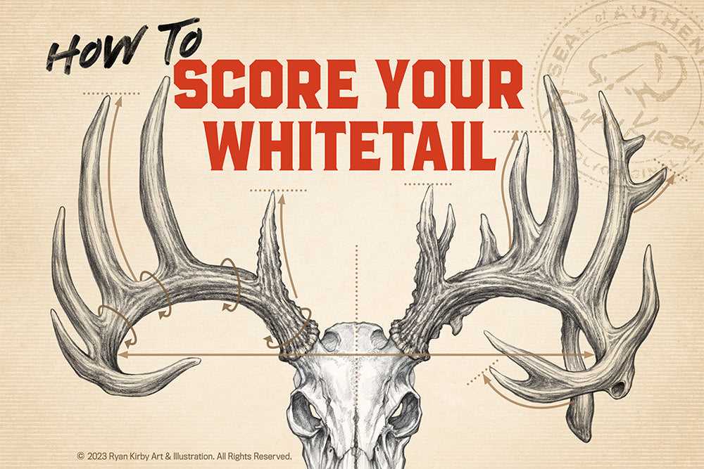 printable whitetail score sheet printable whitetail score sheet