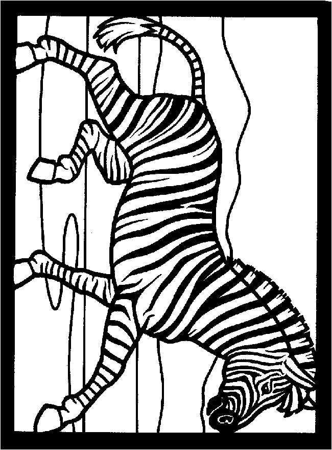 printable zebra coloring pages