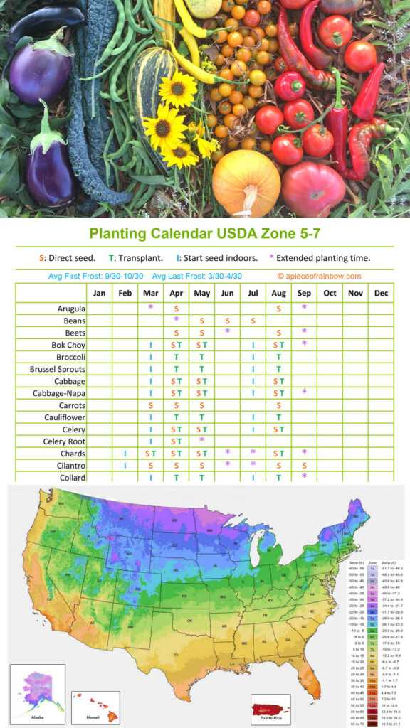 printable zone 7 planting schedule