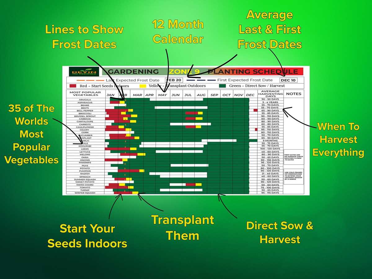 printable zone 9b planting schedule printable zone 9b planting schedule